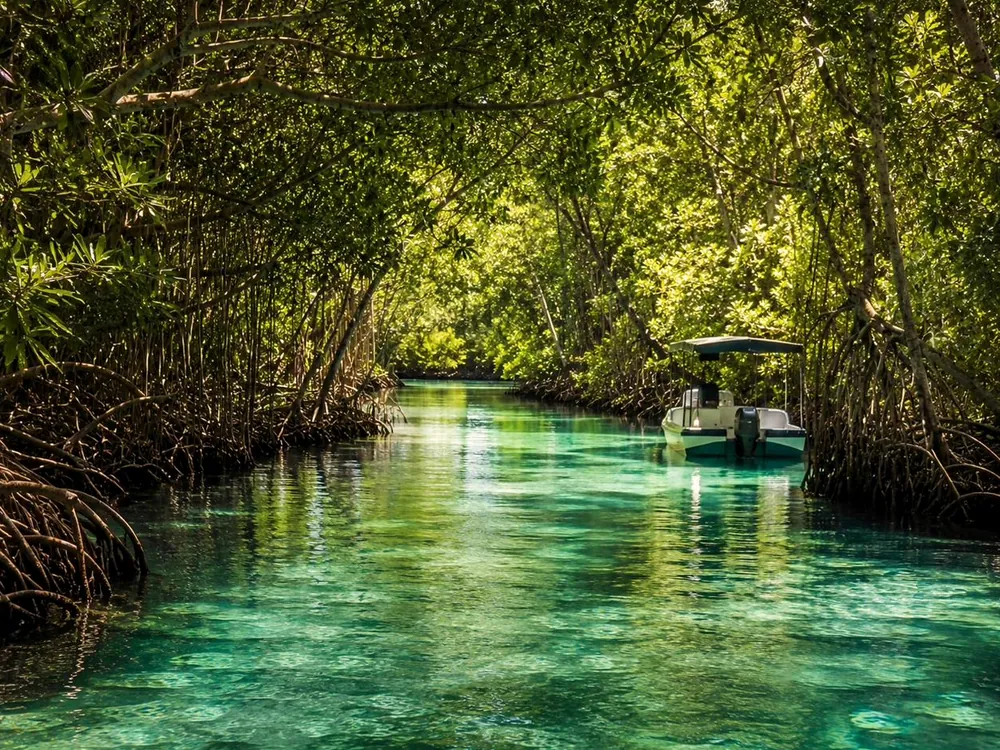 Nichupté's mangrove channels, hidden behind the resorts