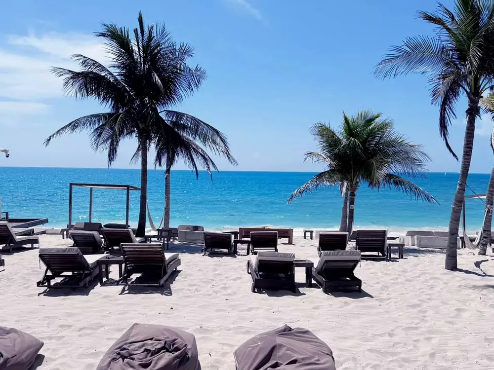 Wooden loungers and low palms on white sand at a beach club, the flat blue Caribbean a few steps beyond them