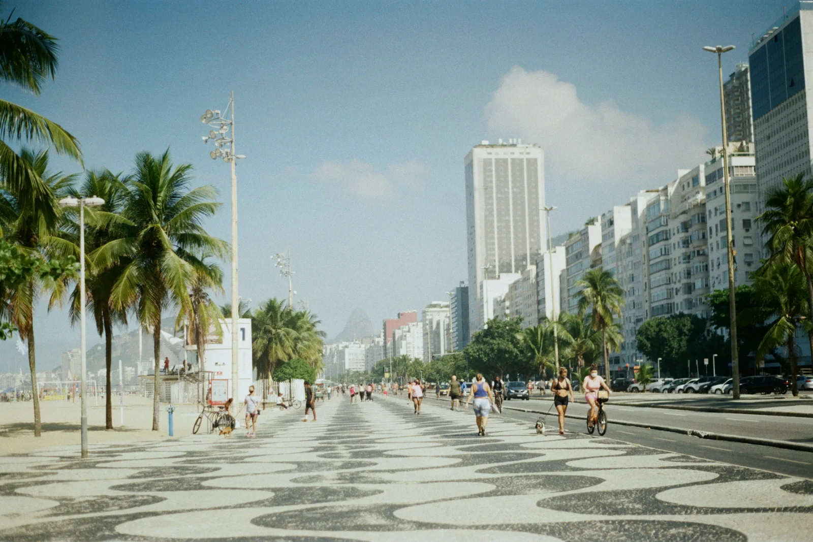 The Copacabana promenade, its wave mosaic running between the palms and the apartment blocks along the avenue