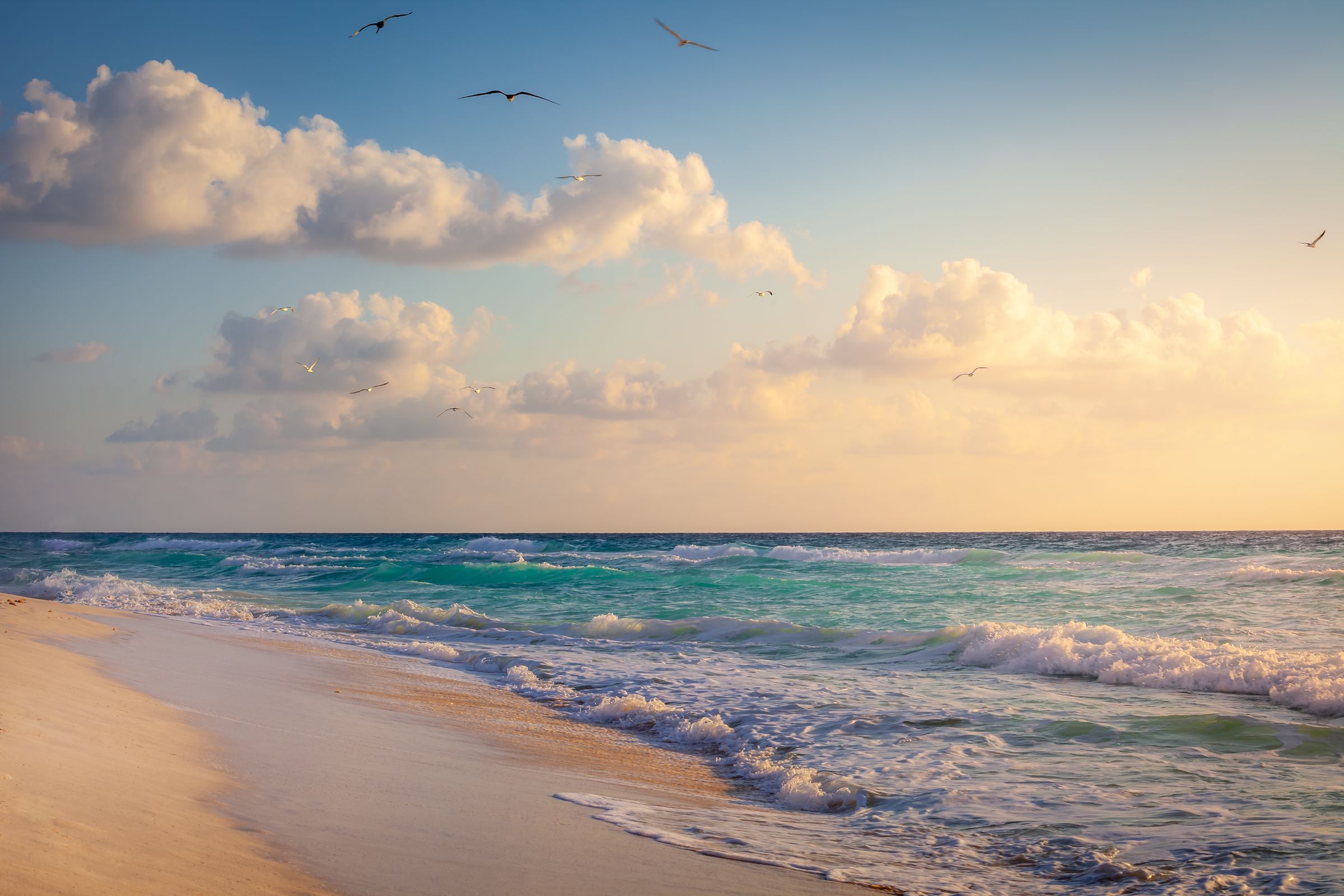 The Caribbean shoreline of Cancún's Hotel Zone, white sand against turquoise water