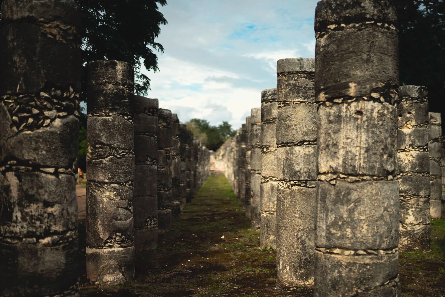 Rows of carved stone columns at Chichén Itzá running away into trees, grass between them