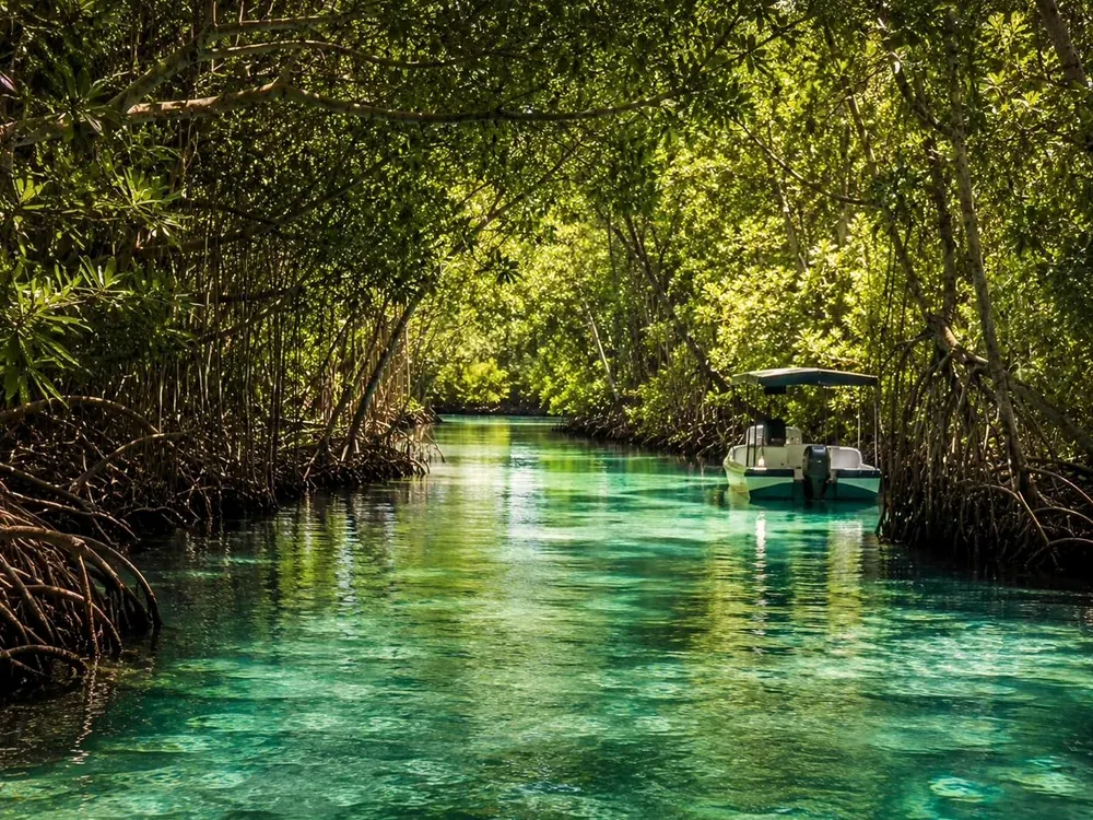 Nichupté's mangrove channels, hidden behind the resorts