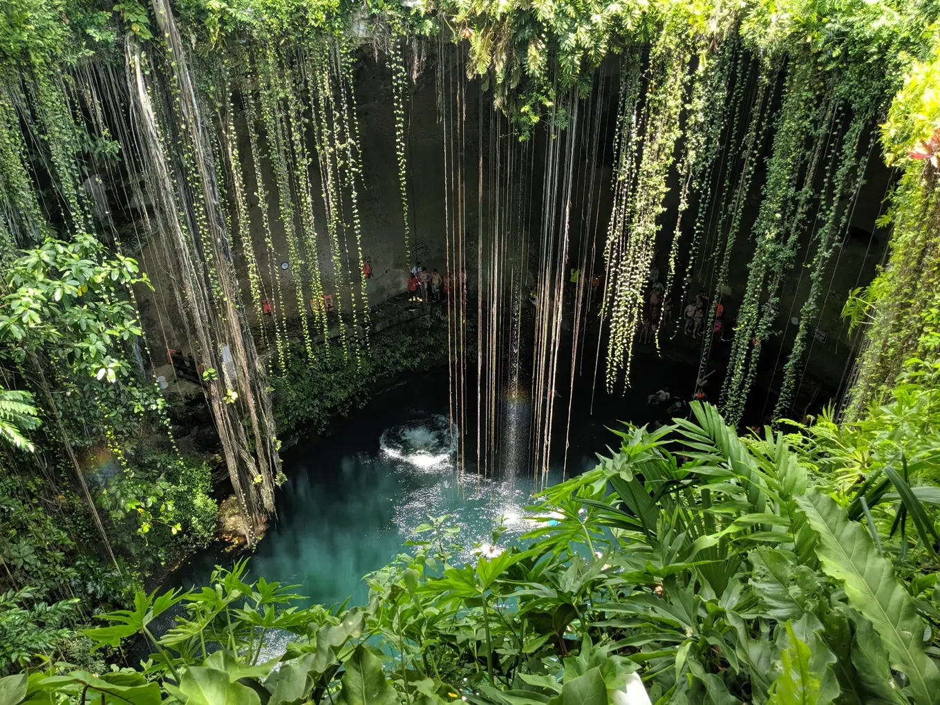 Cenote Ik Kil, with vines hanging to the water