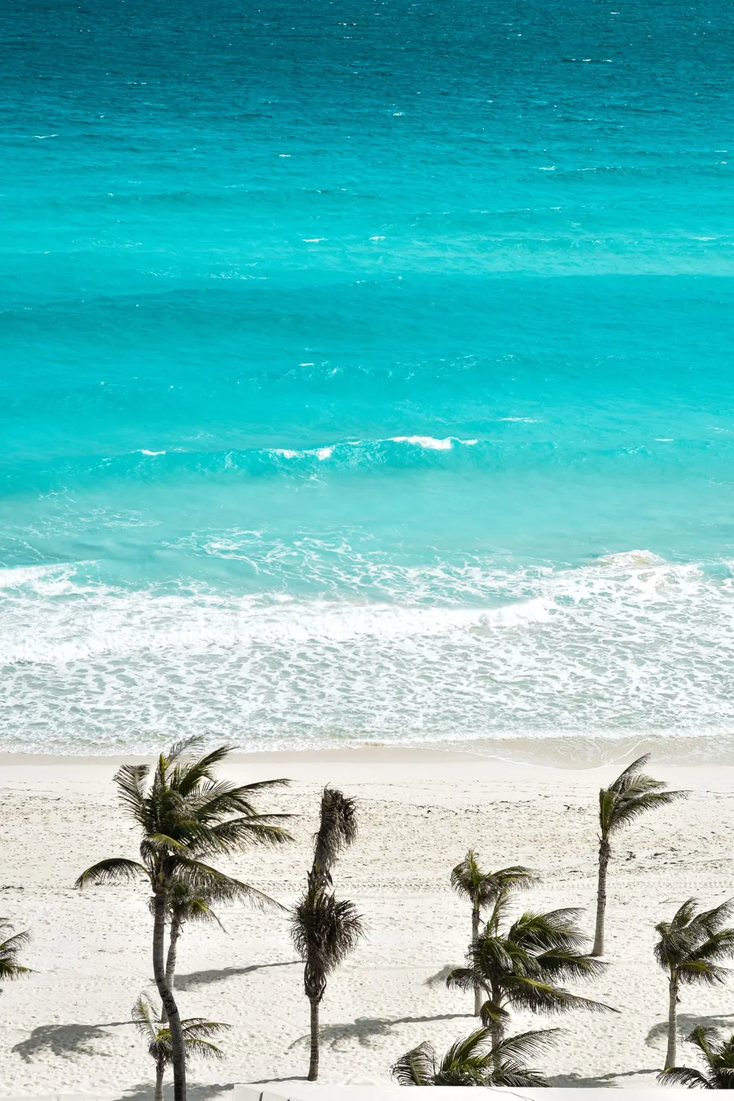 Palms on a white Cancún beach, seen from above