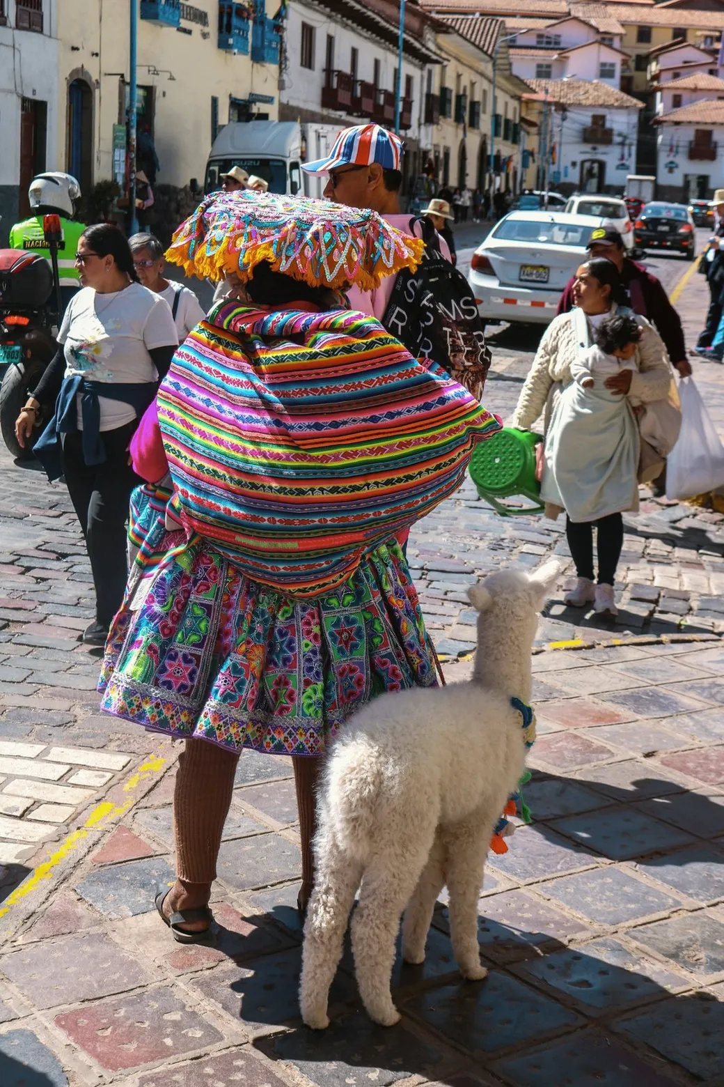 A woman in traditional dress beside a young alpaca