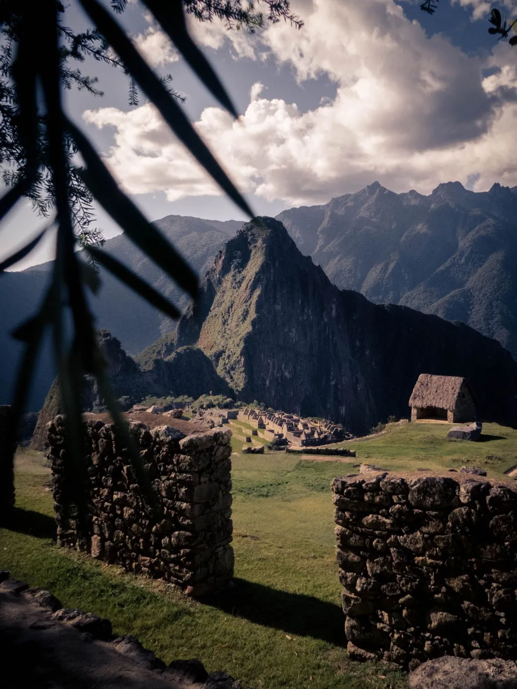 Huayna Picchu above the Inca city, framed by branches