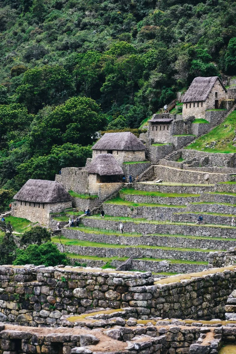 Thatched stone houses above the farming terraces of Machu Picchu