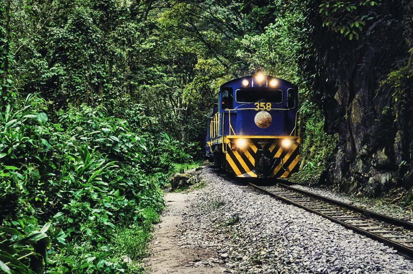 A blue train on the line, deep in green forest