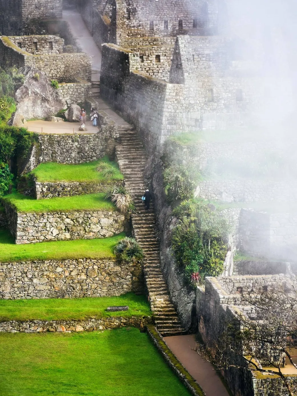 A stone stairway between terraces, in morning mist