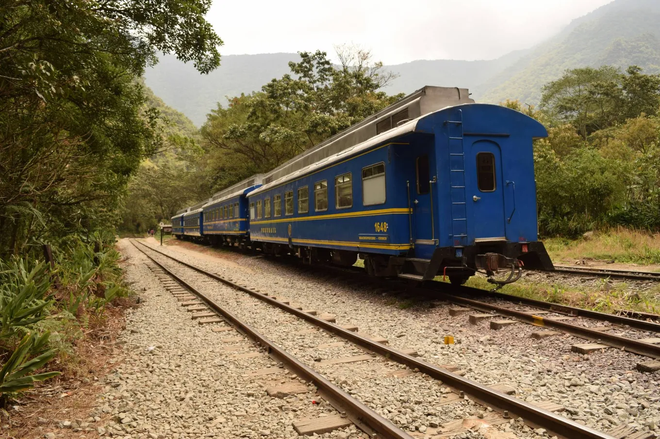 PeruRail carriages on the Machu Picchu line, in the forest of the lower valley