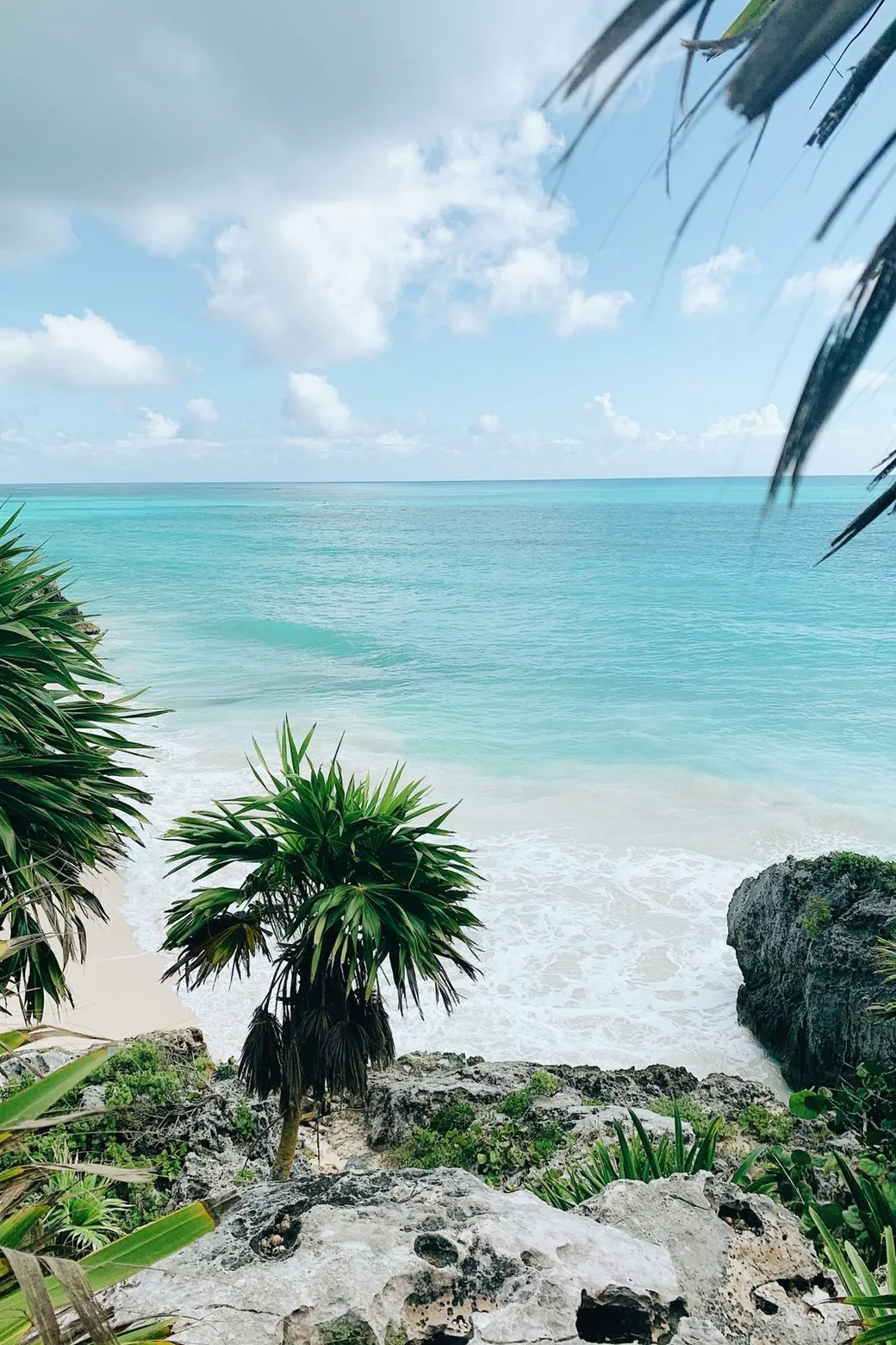 The beach below the Tulum cliff, palms in the foreground