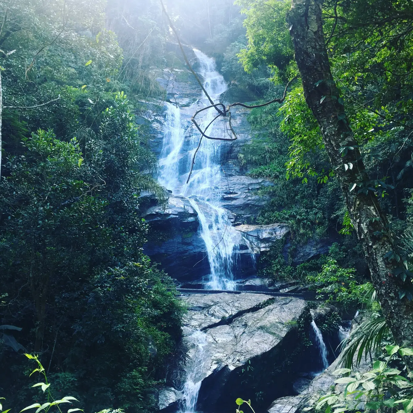 Water falling over dark rock, deep in the Tijuca forest