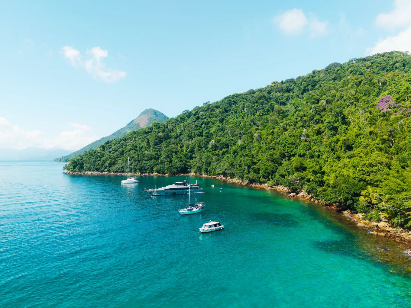 Boats at anchor off a forested shore, the water turning green