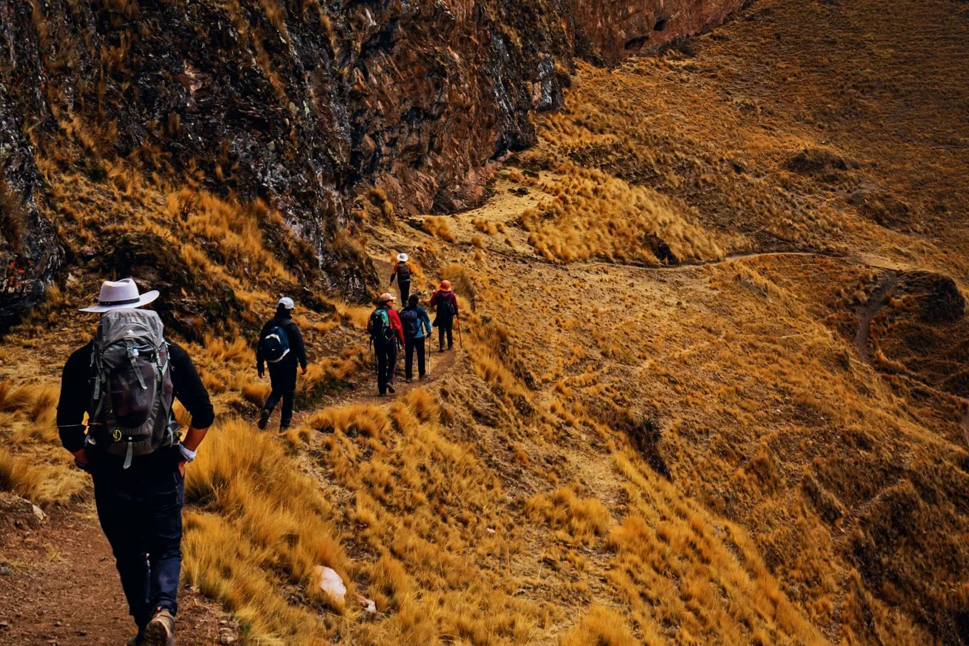 Hikers in single file on a grassy mountain trail